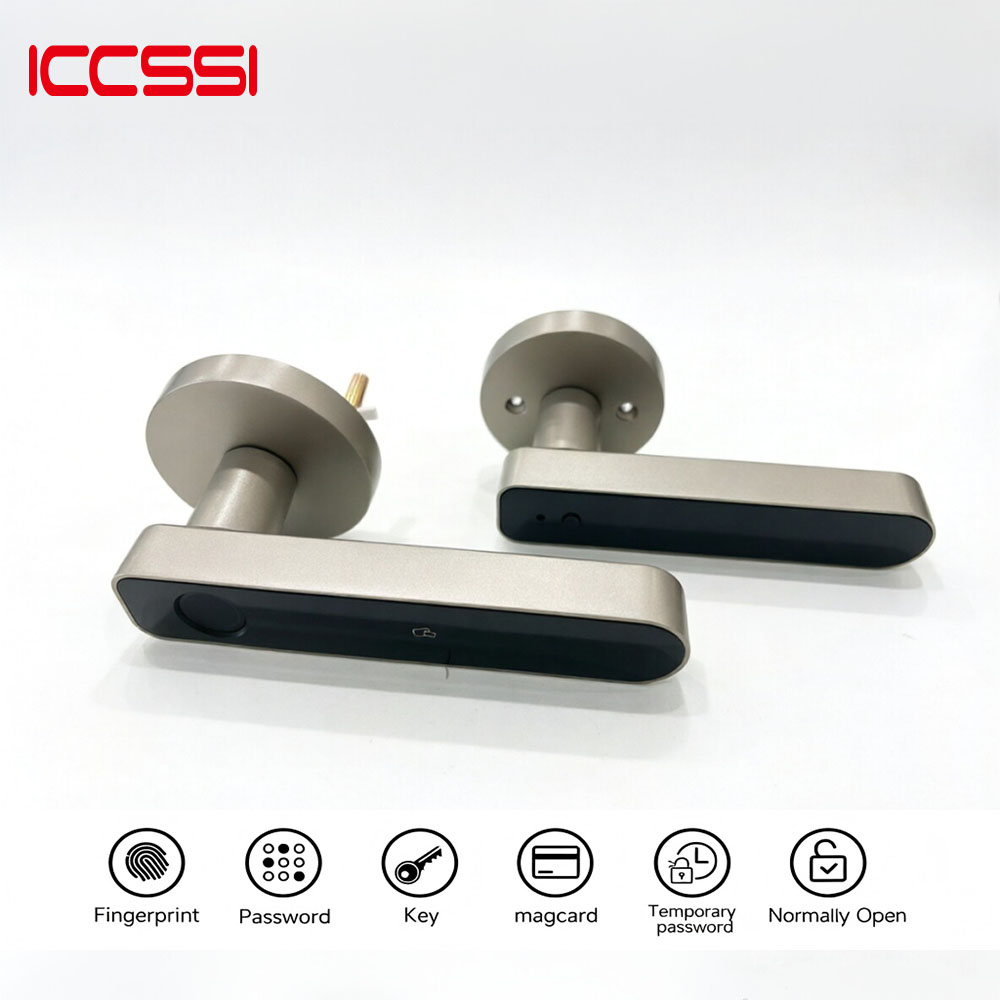 Letter Opener Brass - Serratura Elettronica Digitale Intelligente Tuya ICCSSI
