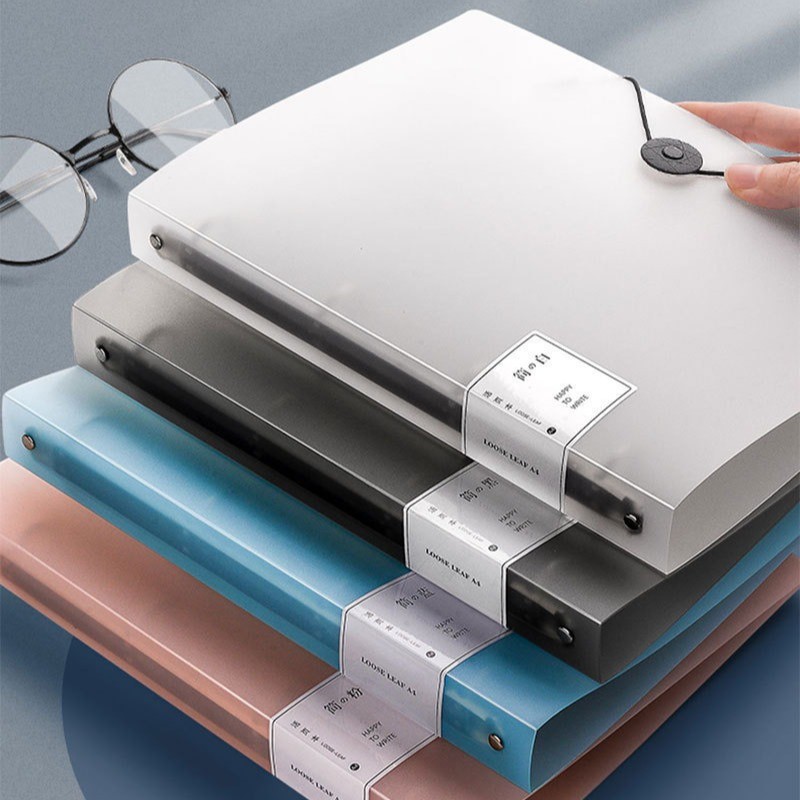 Raccoglitore ad anelli A4 a 4  - Binder A4 Lever recensione e prezzo